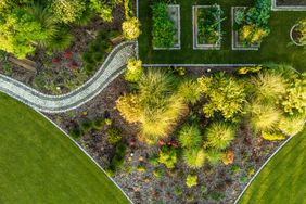 Alternative lawn, xeriscaping lawn with ornamental grasses