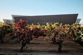 vineyard and exterior building image aperture winery