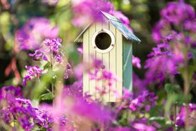 Bird house