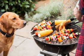 dog at bbq