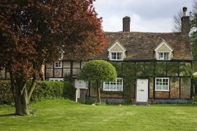 beech tree in front of old house