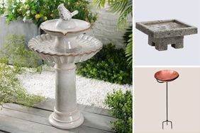 Composite of bird baths