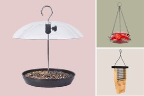 Composite of Bird Feeders