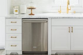 Kitchen with stainless steel dishwasher