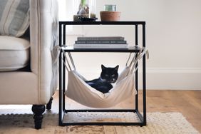 DIY Cat hammock