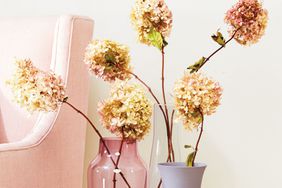 dried hydrangeas in vases decor