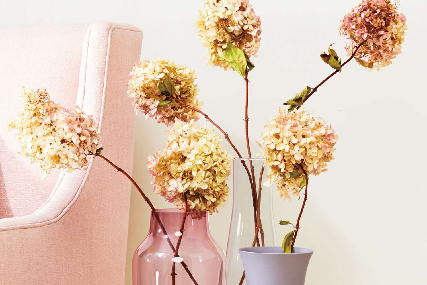 dried hydrangeas in vases decor