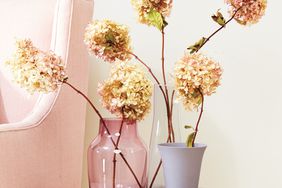 dried-hydrangea-decorating-497-d111217.jpg