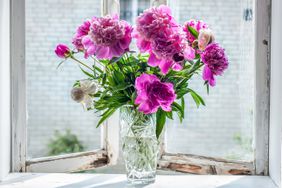 bright, pink peonies on windowsill in glass vase