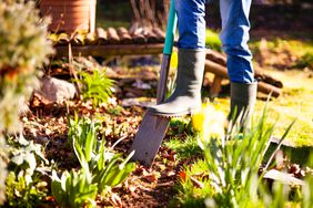 Woman gardening 