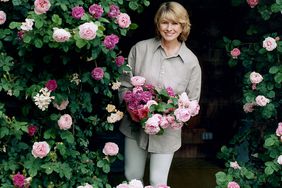 martha with roses in garden