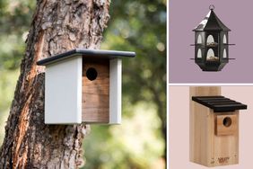 Birdhouse composite