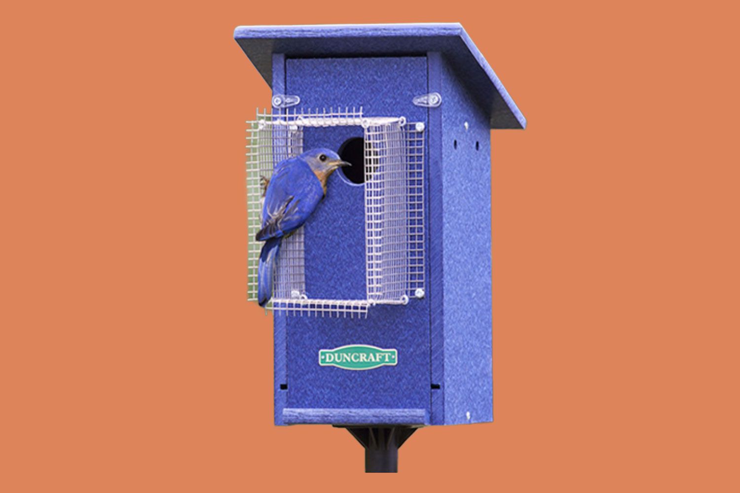 Birdsafe Duncraft Birdhouse