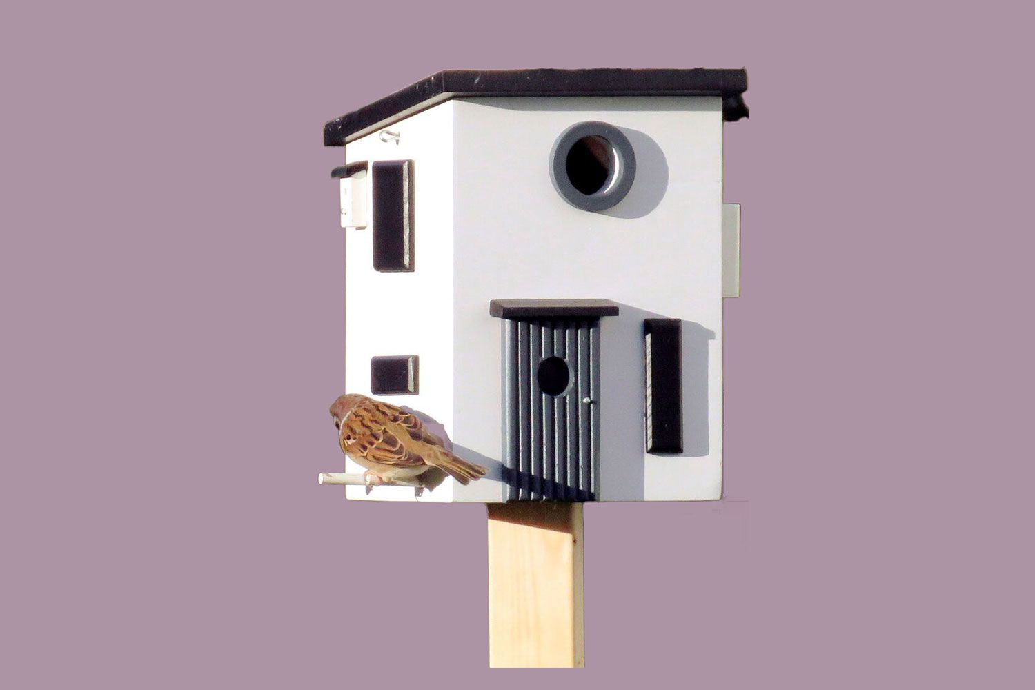 Moma Birdhouse