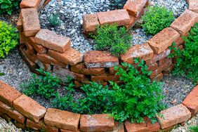 overhead view of an herb spiral