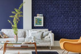 Nacy bue wall in living space