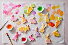 rabbit cookies pastel painted