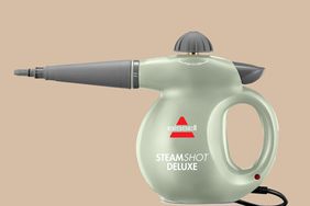 steam cleaner