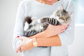 woman cuddling siberian cat